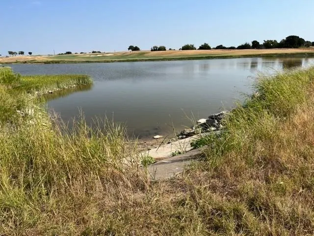 a view of a lake with houses in the back