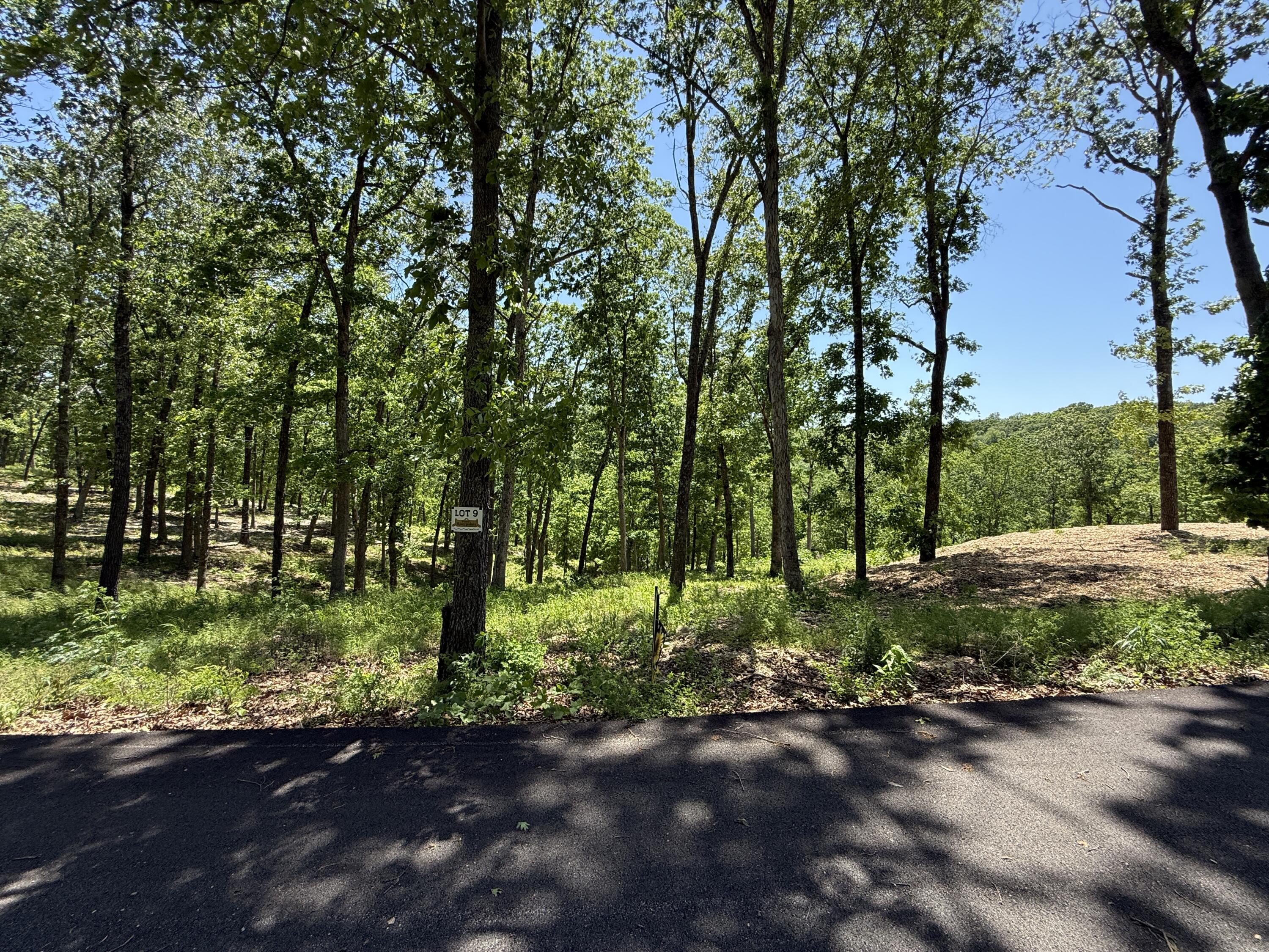 Lot 9 Riverpointe View Ozark, MO 65721 - Photo 2 of 24 IMG_3401