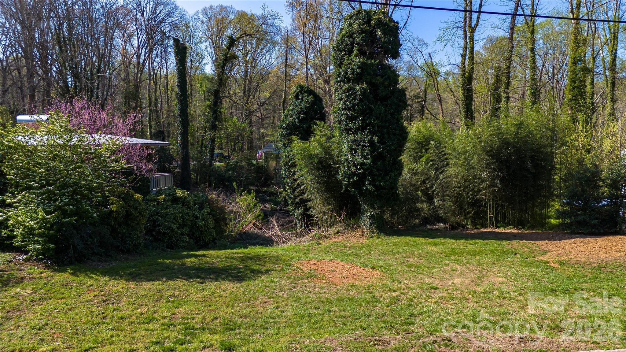 0 Riverside Drive Morganton, NC 28655 - Photo 3 of 4