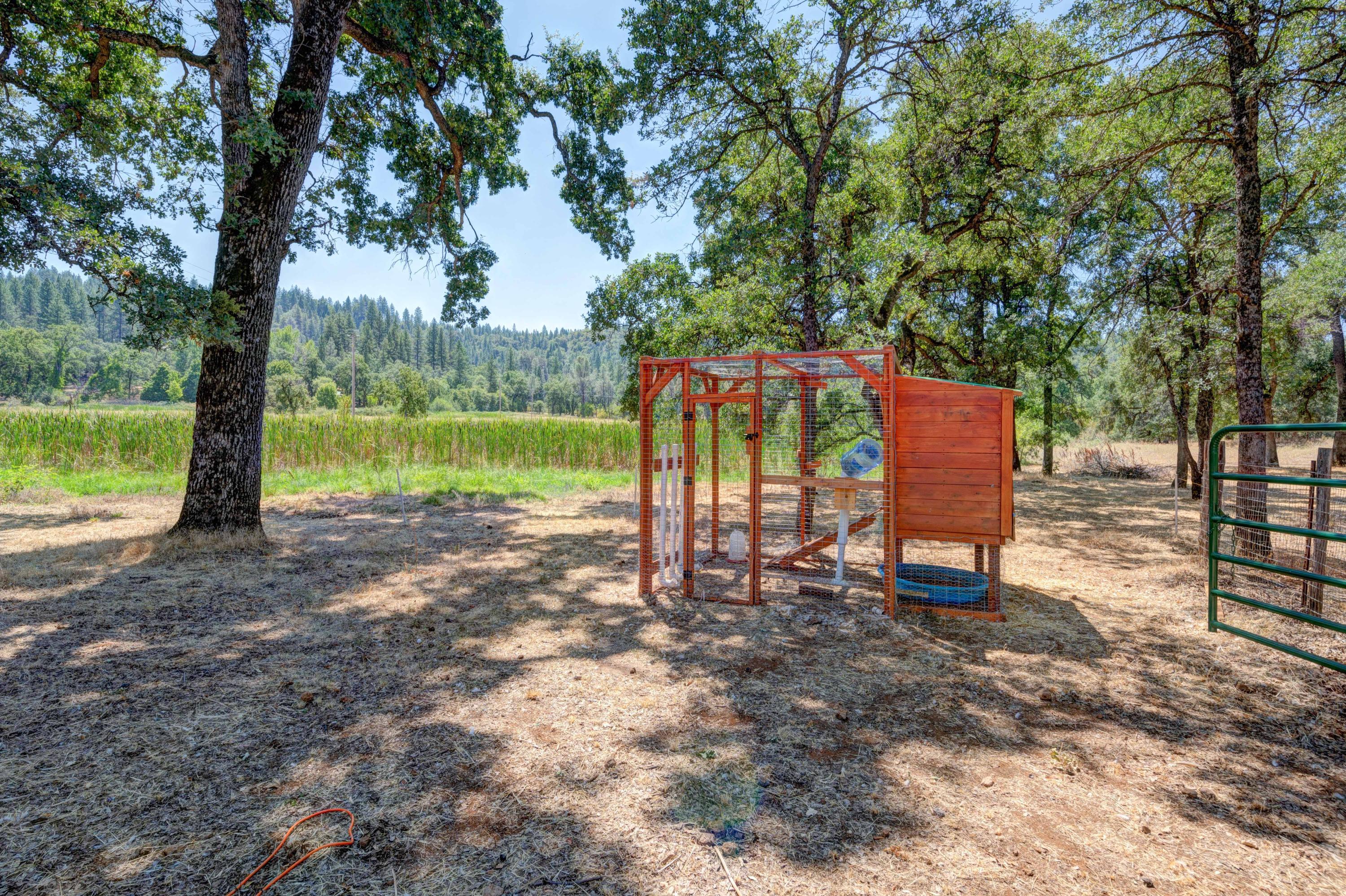 29246 Westmoore Road Shingletown, CA 96088 - Photo 13 of 41 ReddingRealEstatePhotography-11