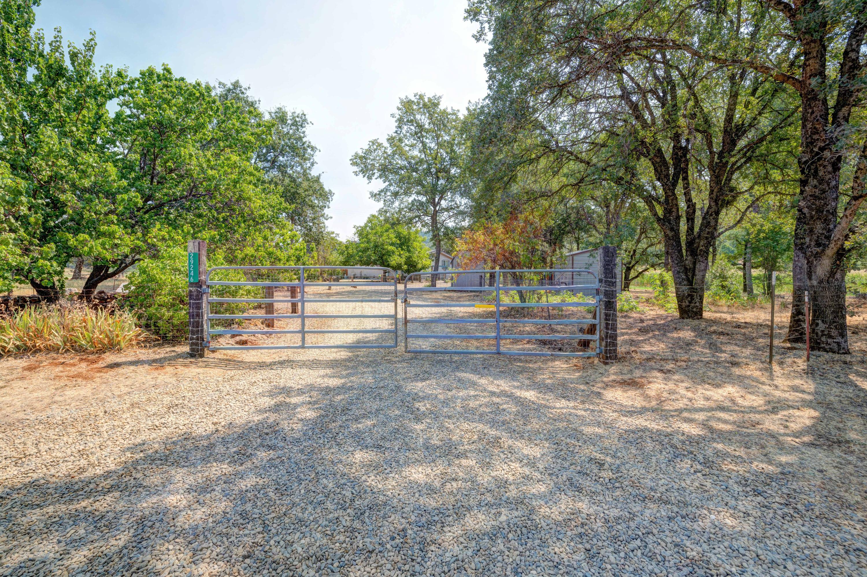 29246 Westmoore Road Shingletown, CA 96088 - Photo 3 of 41 ReddingRealEstatePhotography-1