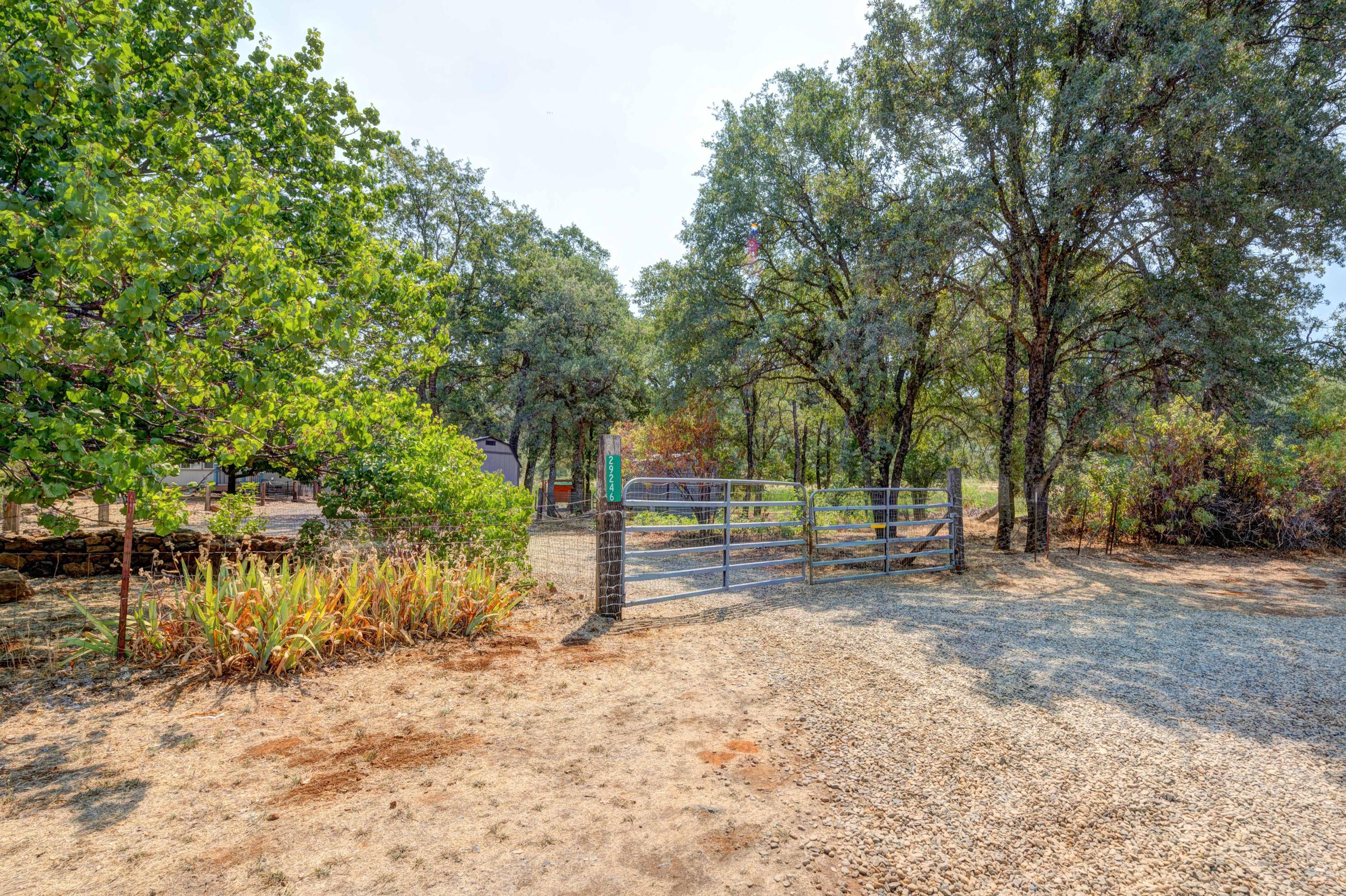 29246 Westmoore Road Shingletown, CA 96088 - Photo 6 of 41 ReddingRealEstatePhotography-4