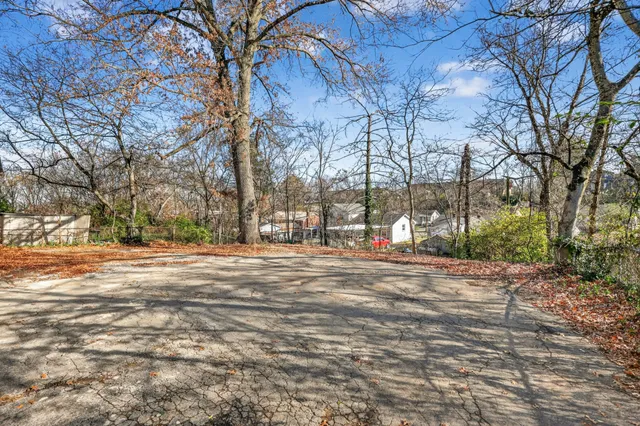 a view of road and trees