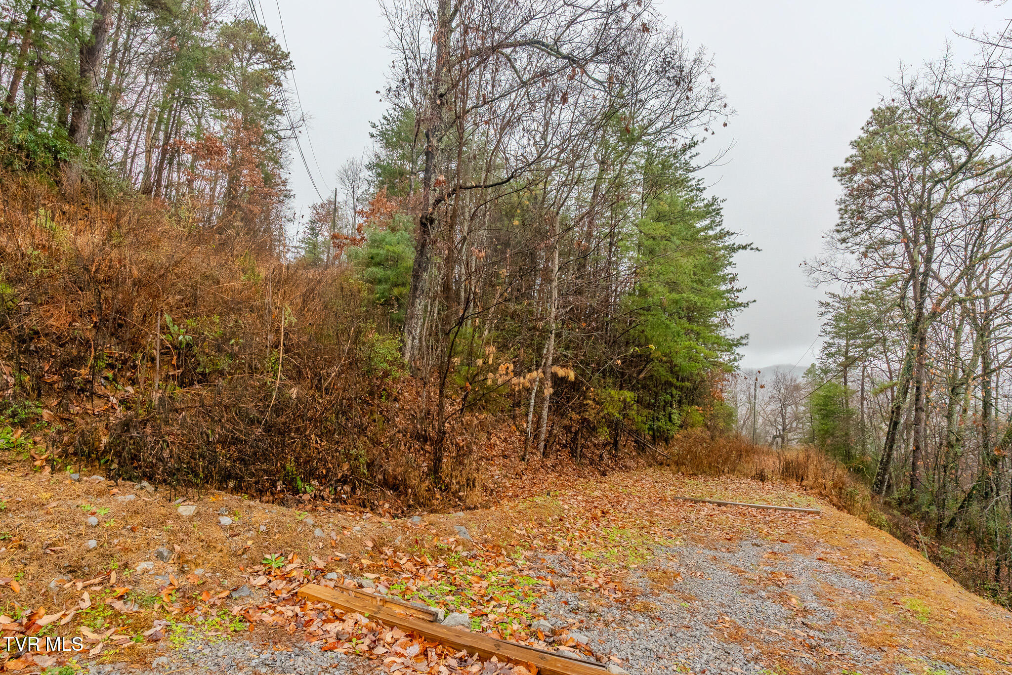 Lot 4 Glenview Way, Unit 4 Sevierville, TN 37862 - Photo 3 of 13 _DSC4132-HDR