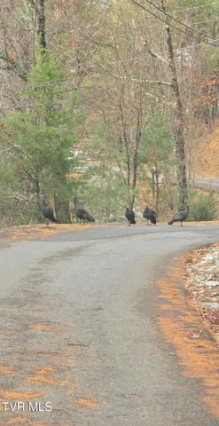 $140,000 | Lot 4 Glenview Way, Unit 4, Sevierville, TN 37862