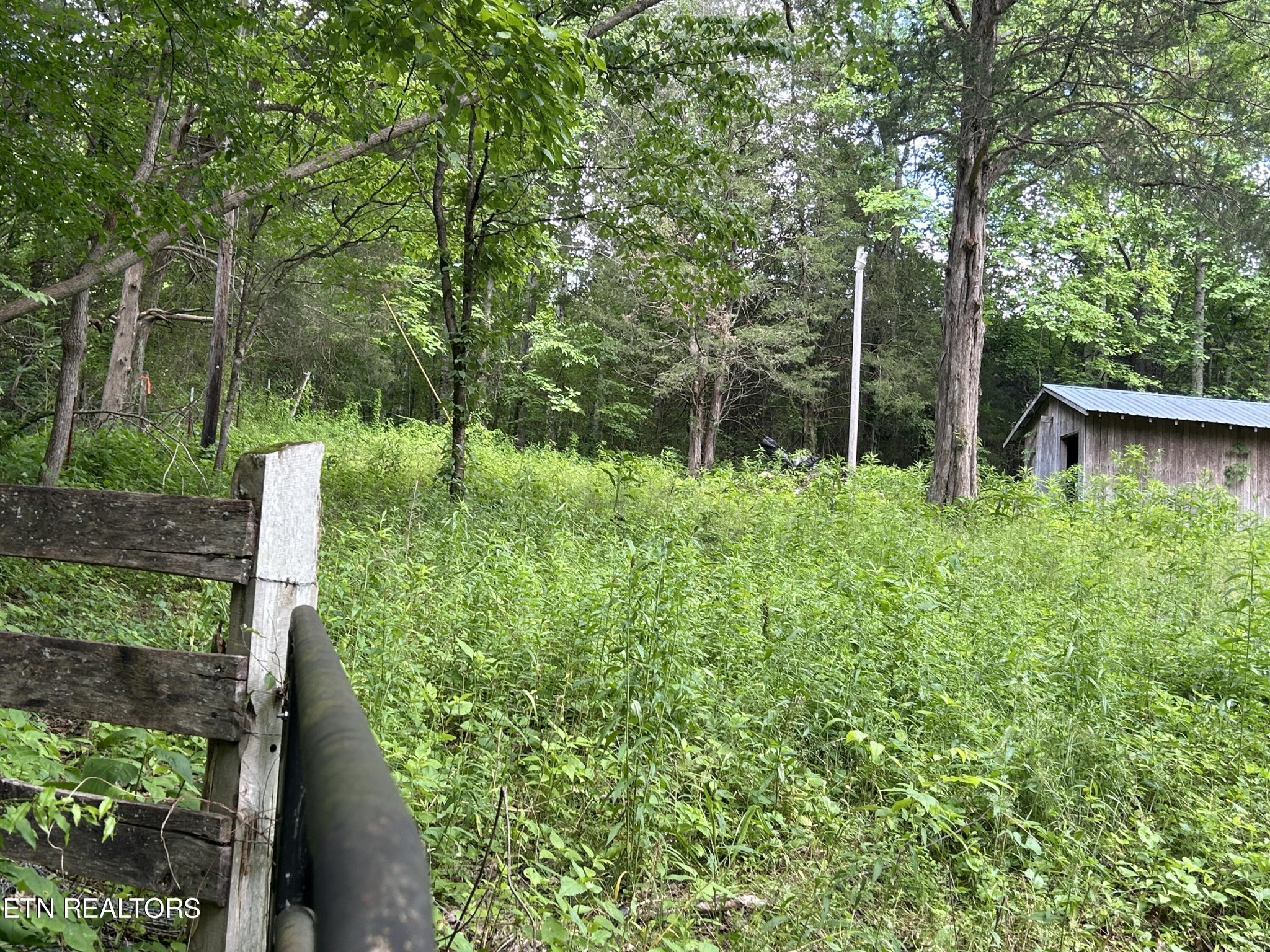 4365 Reed Creek Road Pall Mall, TN 38577 - Photo 7 of 9 Gallery Image 7