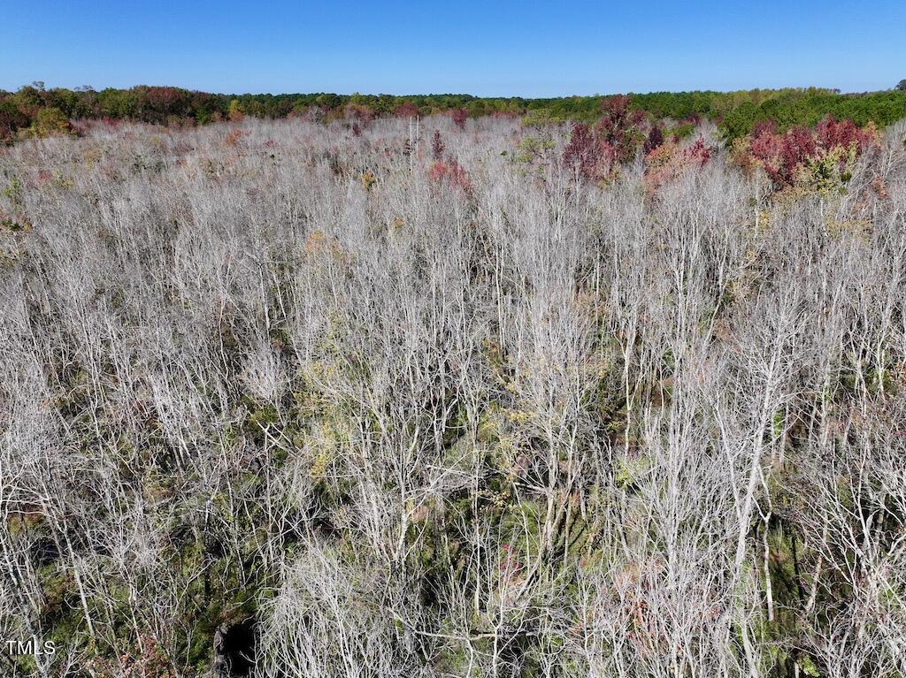 0 Buck Swamp Road Pikeville, NC 27863 - Photo 14 of 38 14