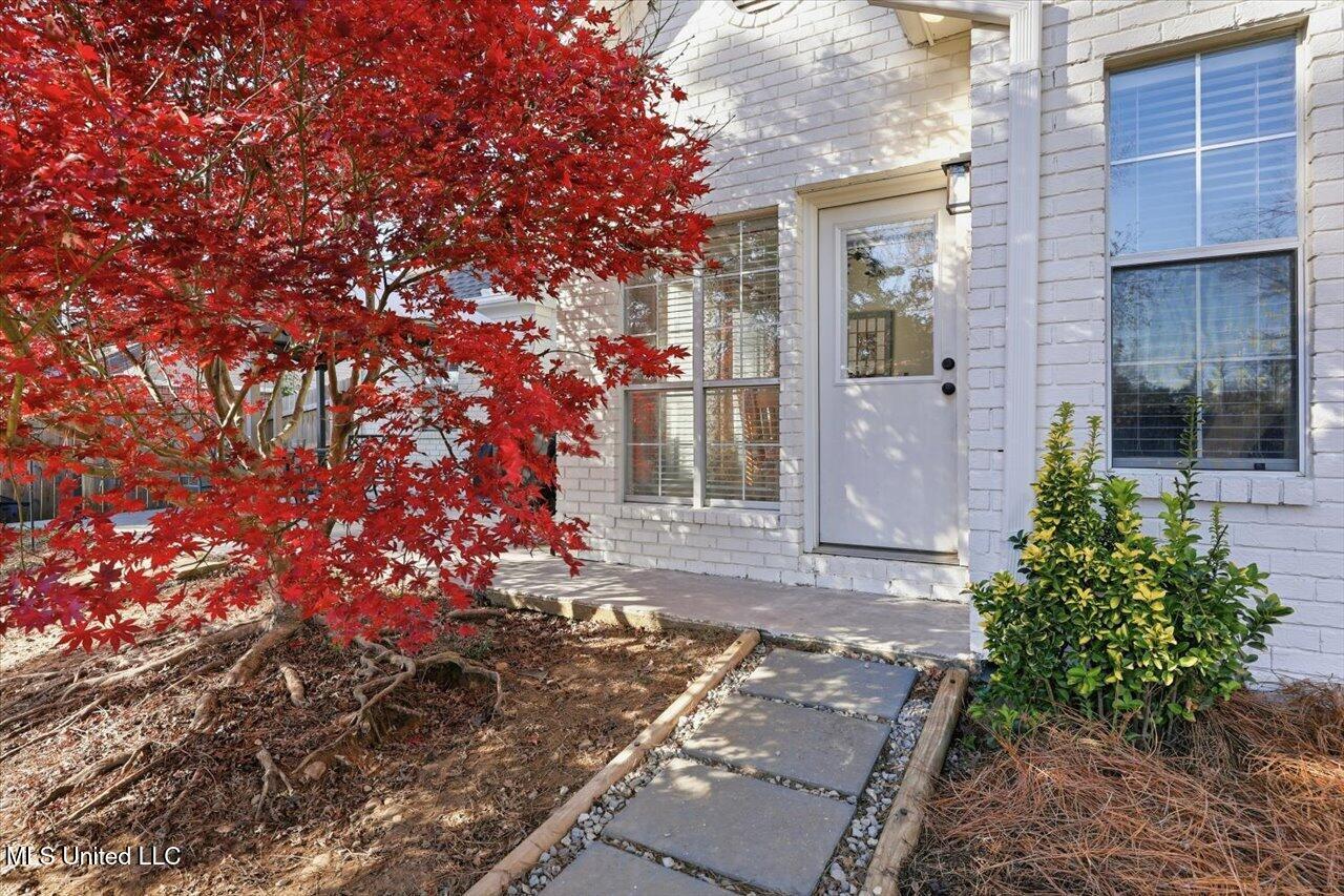 513 Windsor Drive Brandon, MS 39047 - Photo 46 of 50 46-SD1_0418