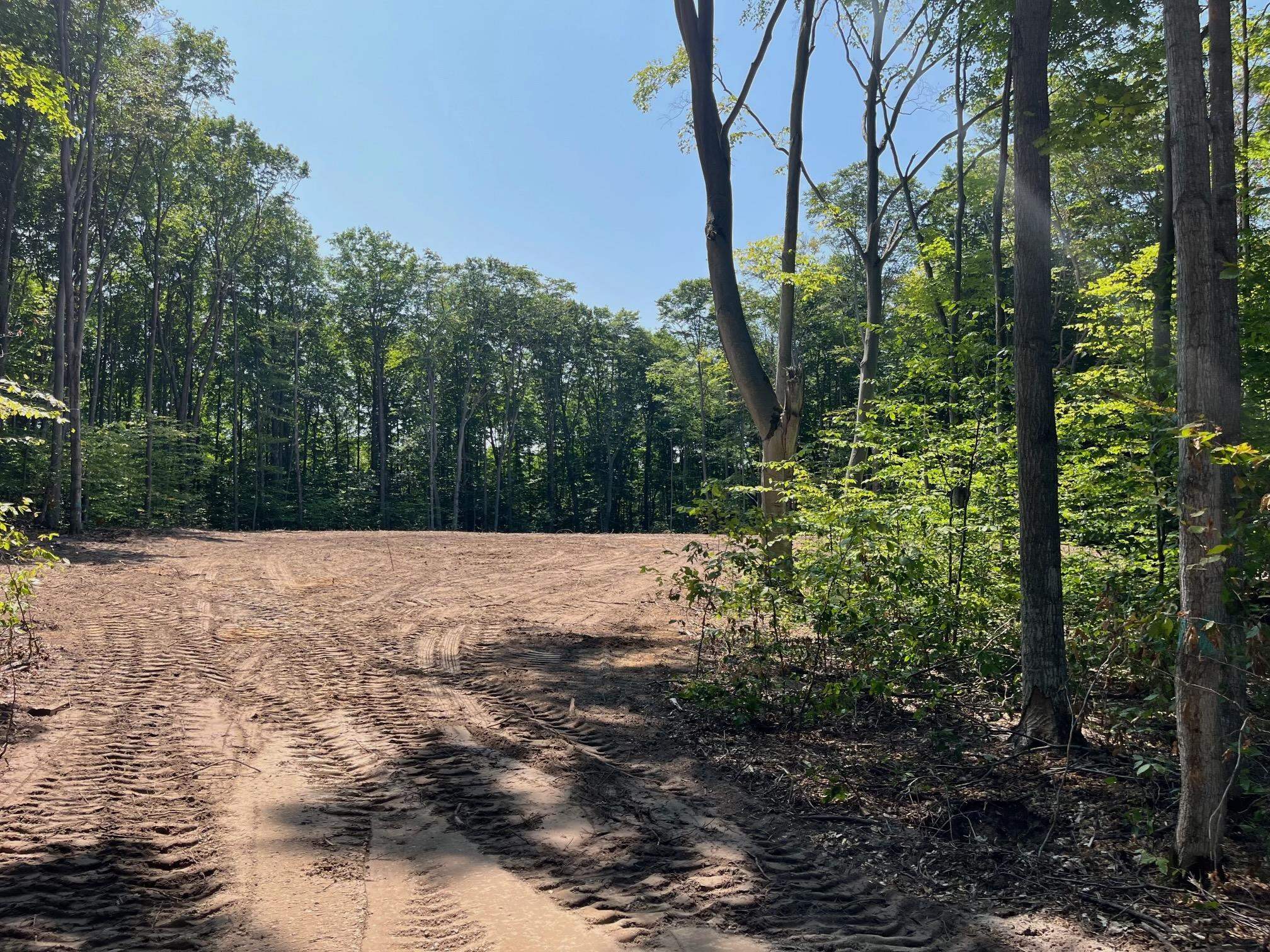 3 South Bright Road, Unit LOT: 3 Maple City, MI 49664 - Photo 16 of 16