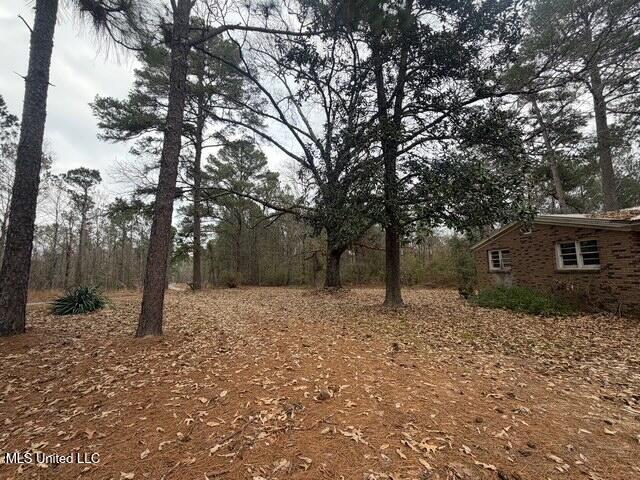 563 Harrisville Road Braxton, MS 39044 - Photo 25 of 25 IMG_0689