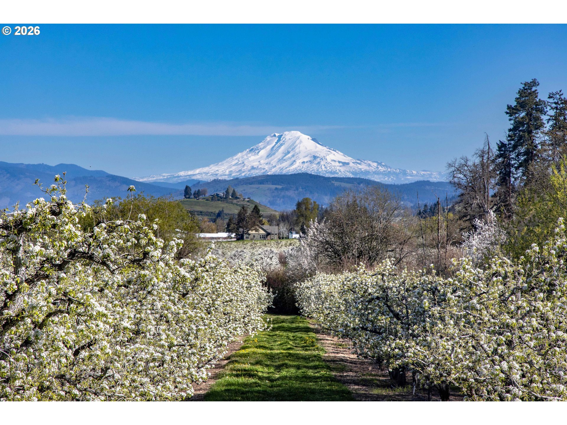 3316 Thomsen Road Hood River, OR 97031 - Photo 4 of 46