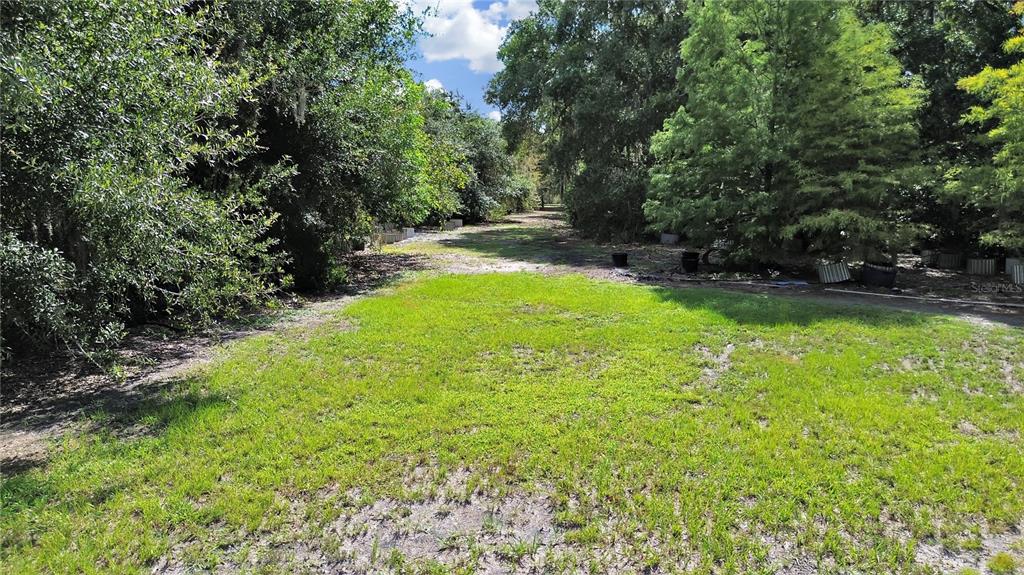 18117 Boy Scout Road Odessa, FL 33556 - Photo 11 of 15 a view of yard with green space