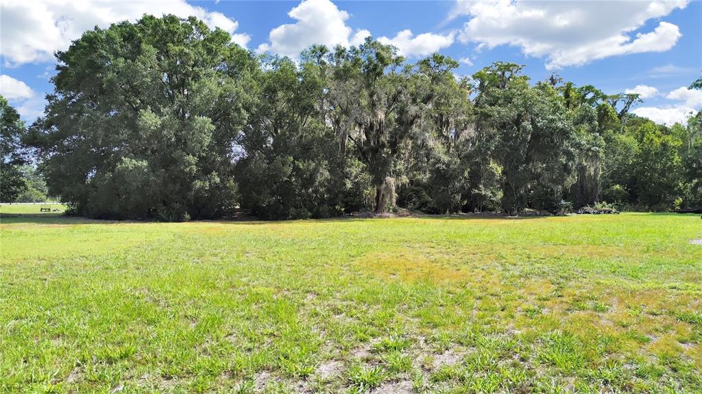 18117 Boy Scout Road Odessa, FL 33556 - Photo 14 of 15 a view of outdoor space with yard
