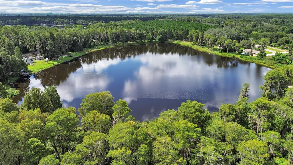 18117 Boy Scout Road Odessa, FL 33556 - Photo 4 of 15 an aerial view of a house with a yard