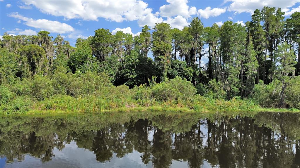 18117 Boy Scout Road Odessa, FL 33556 - Photo 5 of 15 a view of a lake with a building in the background