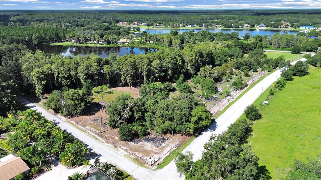 18117 Boy Scout Road Odessa, FL 33556 - Photo 6 of 15 a view of a garden with a lake view