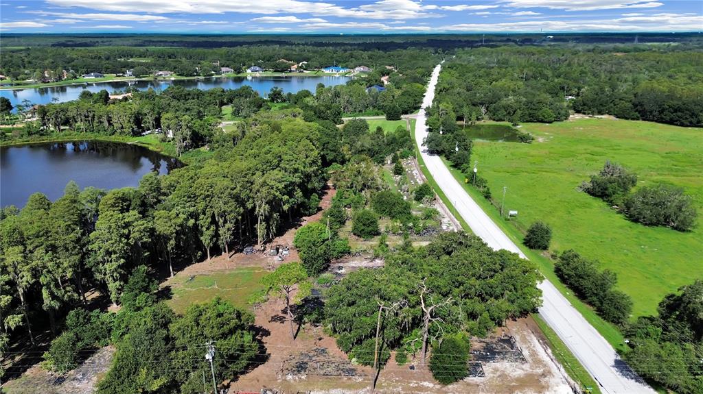 18117 Boy Scout Road Odessa, FL 33556 - Photo 9 of 15 a view of a garden with a lake
