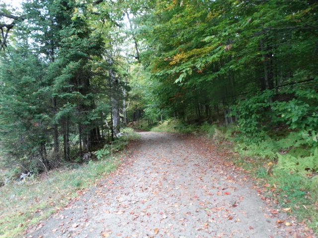 992 Daniels Road West Albany, VT 05845 - Photo 13 of 33
