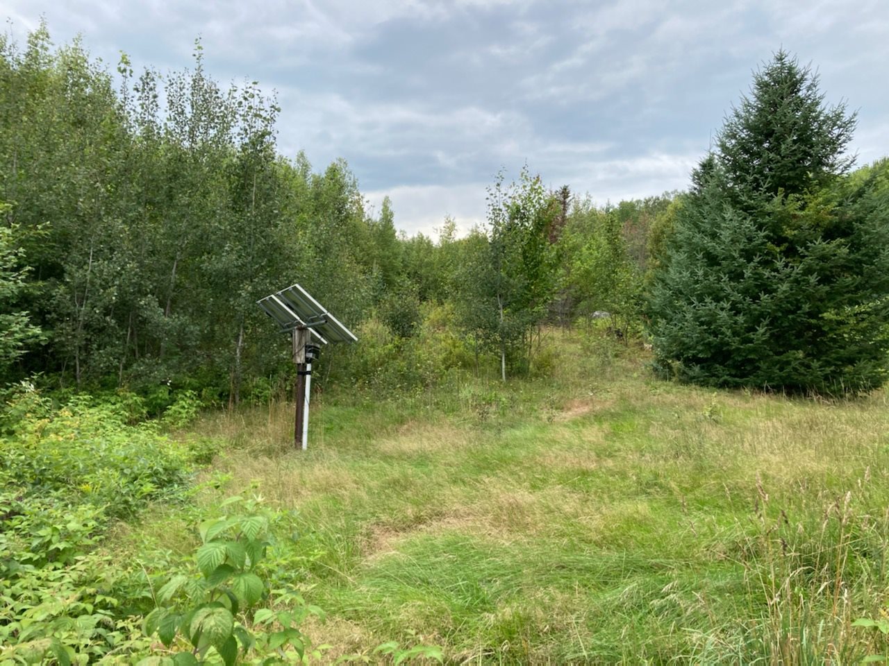 992 Daniels Road West Albany, VT 05845 - Photo 7 of 33