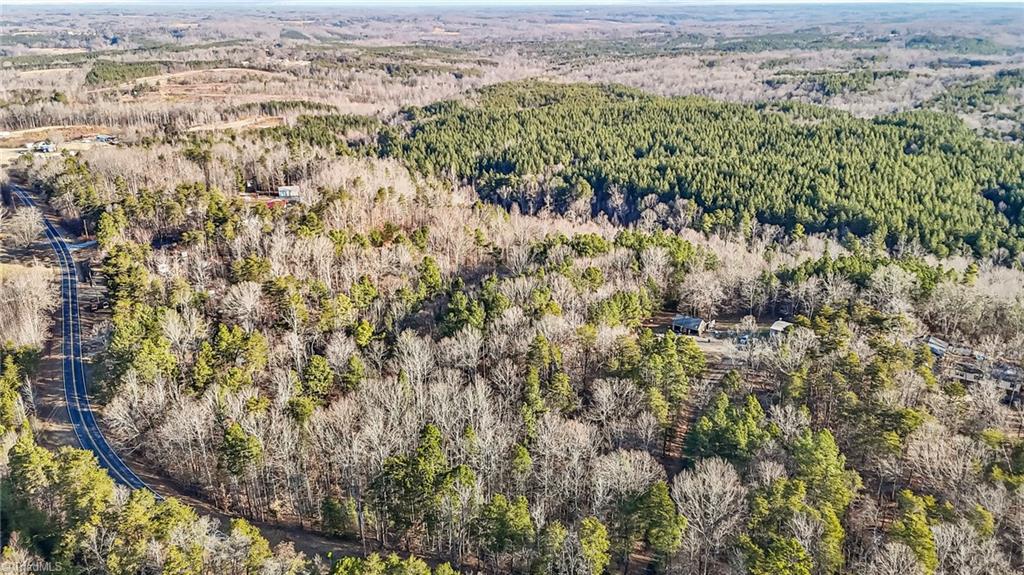 0 Wagon Wheel Road Reidsville, NC 27320 - Photo 3 of 17 Gallery Image 3