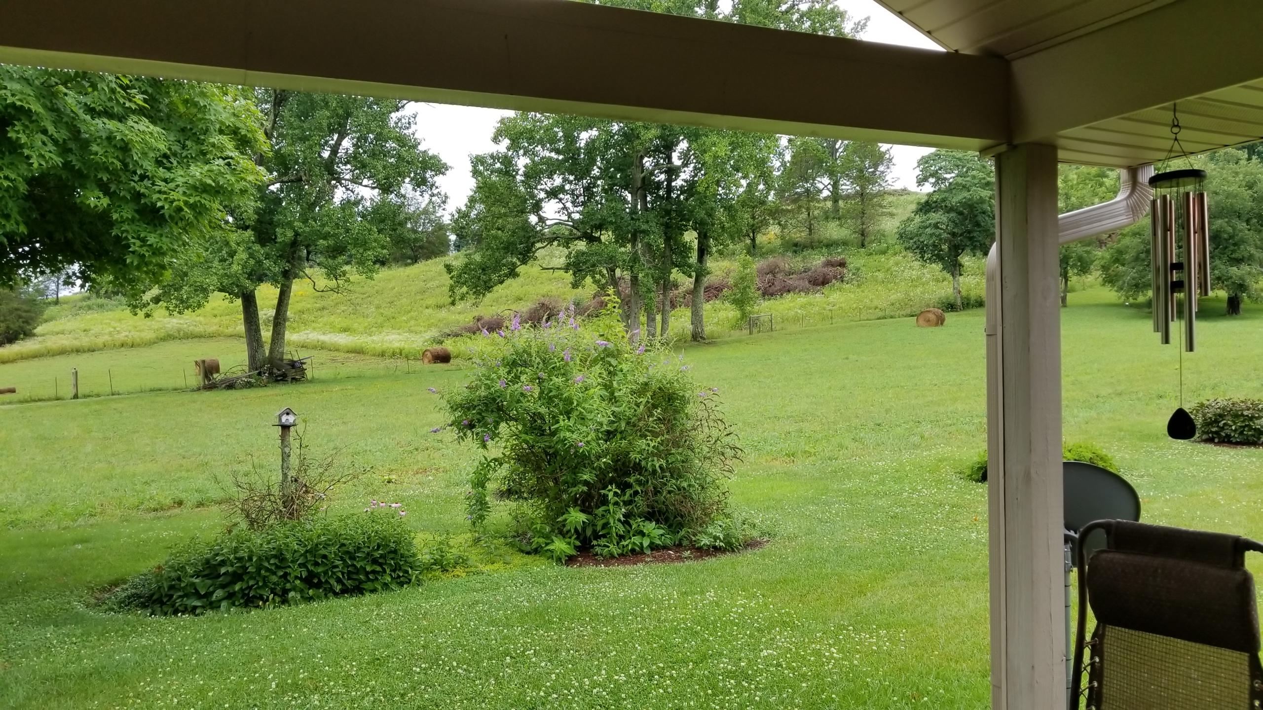 931 Essary Road Tazewell, TN 37879 - Photo 12 of 19 Backyard