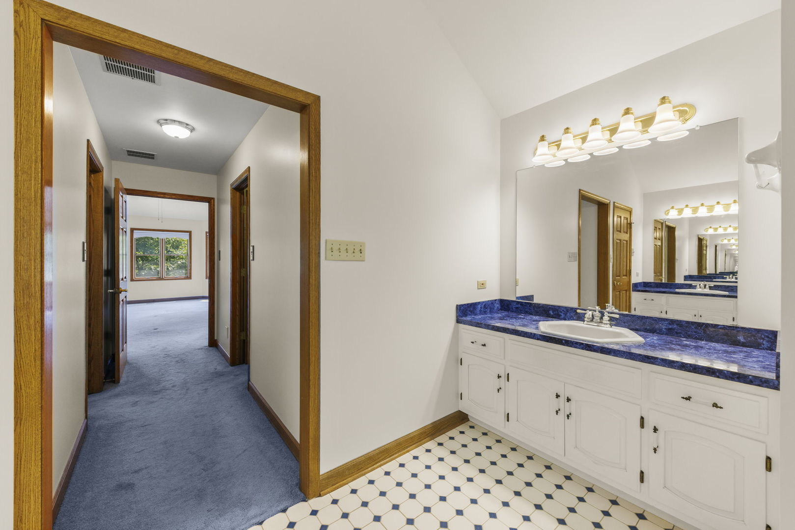 18040 Perth Avenue Homewood, IL 60430 - Photo 28 of 44 a bathroom with a sink and a mirror