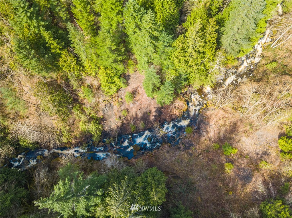 5500 Hillard Road Everson, WA 98247 - Photo 19 of 20