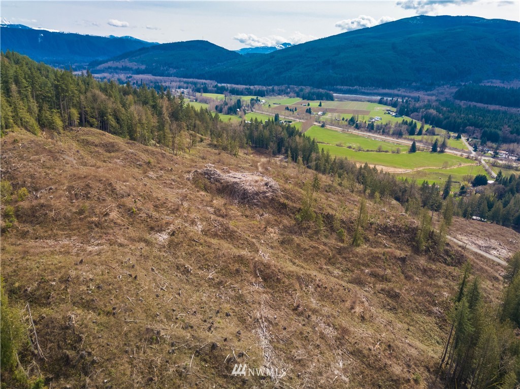 5500 Hillard Road Everson, WA 98247 - Photo 10 of 20