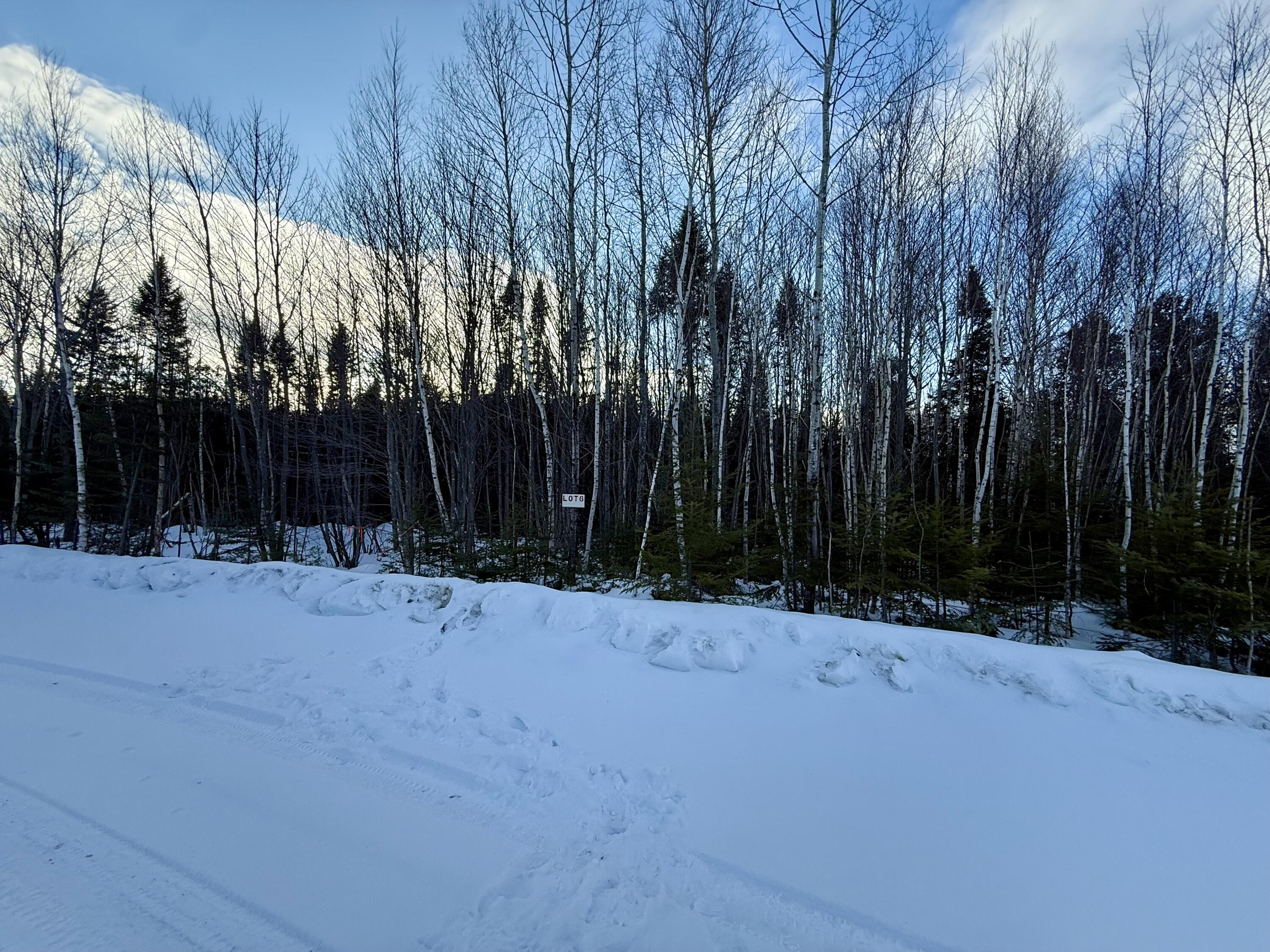 Lot #6 Greenville Steam Road Greenville, ME 04441 - Photo 2 of 7 IMG_5719