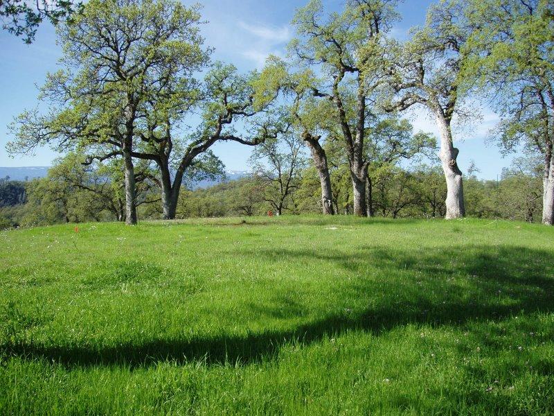 Lot 30 Trinity Alps Vista Road Igo, CA 96047 - Photo 8 of 14 ridge top meadow