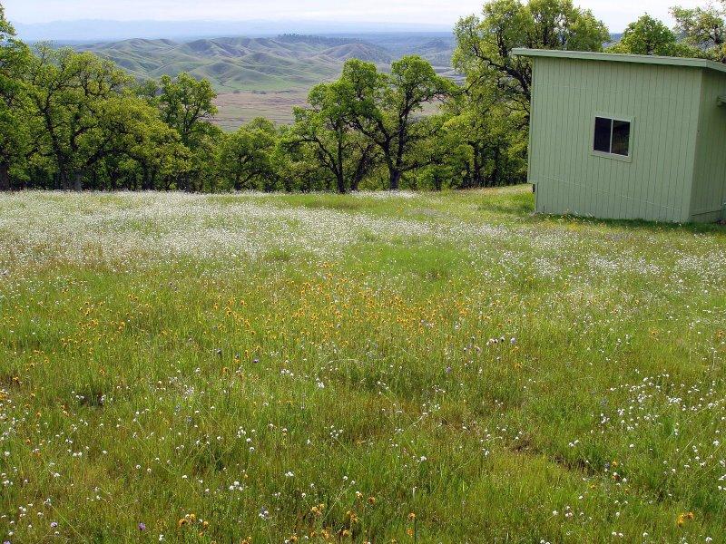Lot 30 Trinity Alps Vista Road Igo, CA 96047 - Photo 9 of 14 Shed and valley views