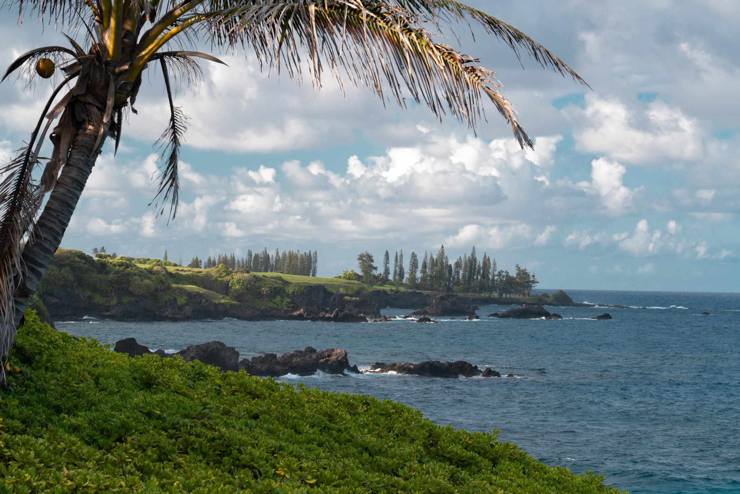 51 Kapohue Road Hana, HI 96713 - Photo 21 of 50 a view of a yard