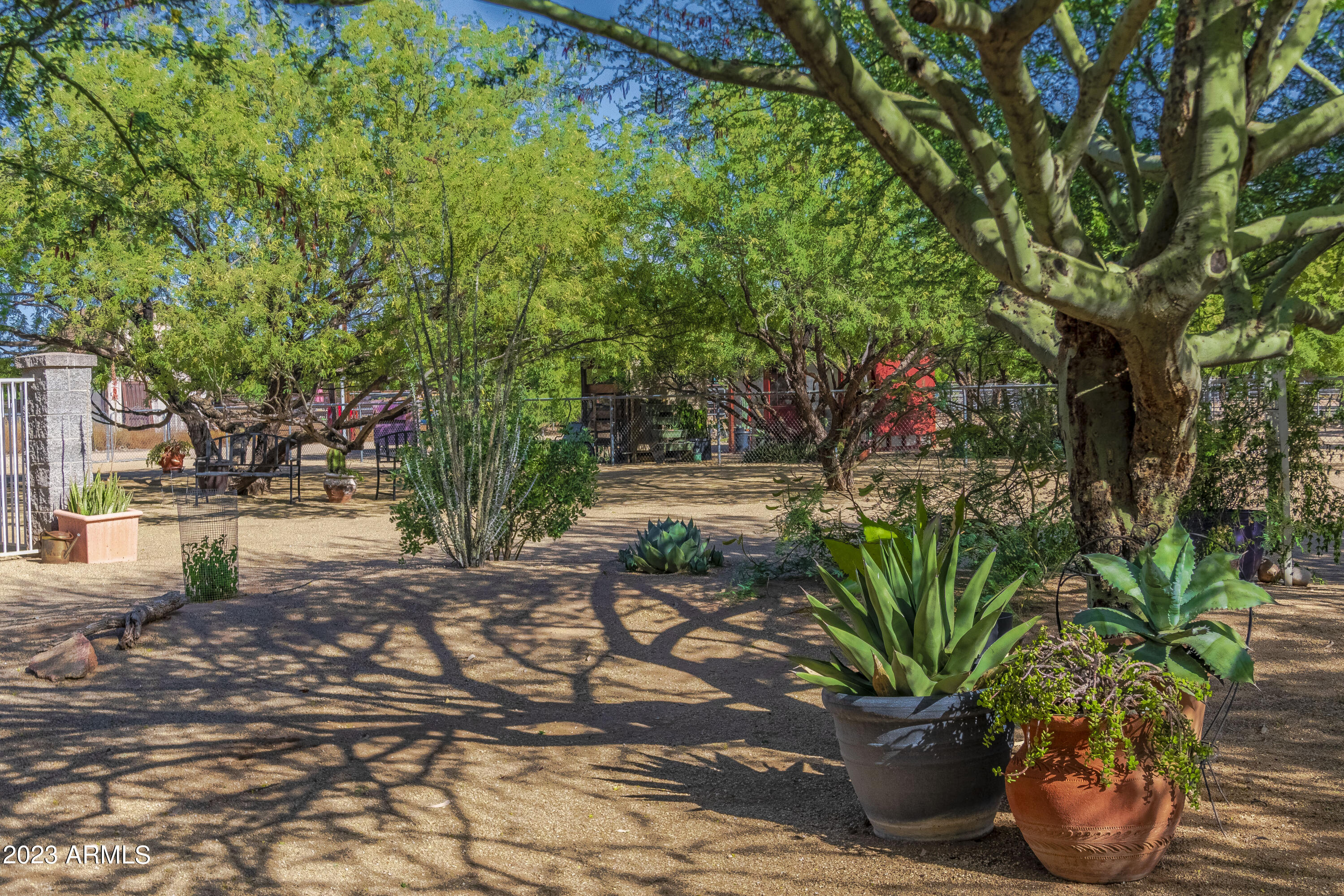 141 East Cloud Road Phoenix, AZ 85086 - Photo 82 of 99 Desert Beauty