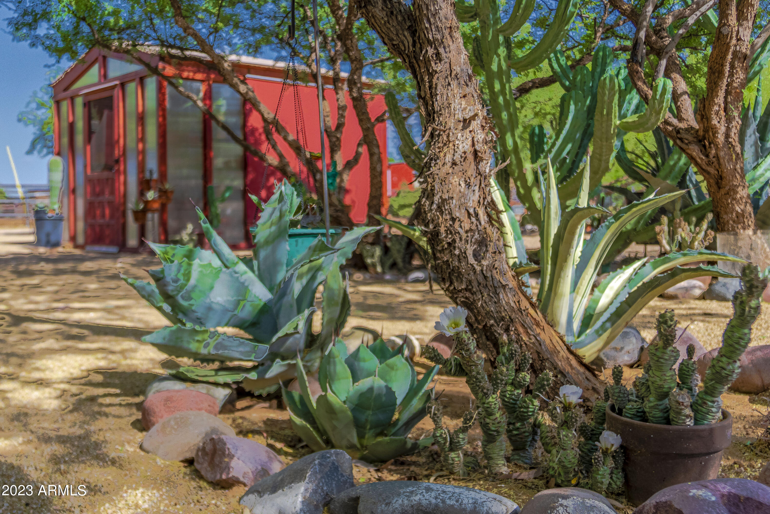 141 East Cloud Road Phoenix, AZ 85086 - Photo 83 of 99 Charming Green house