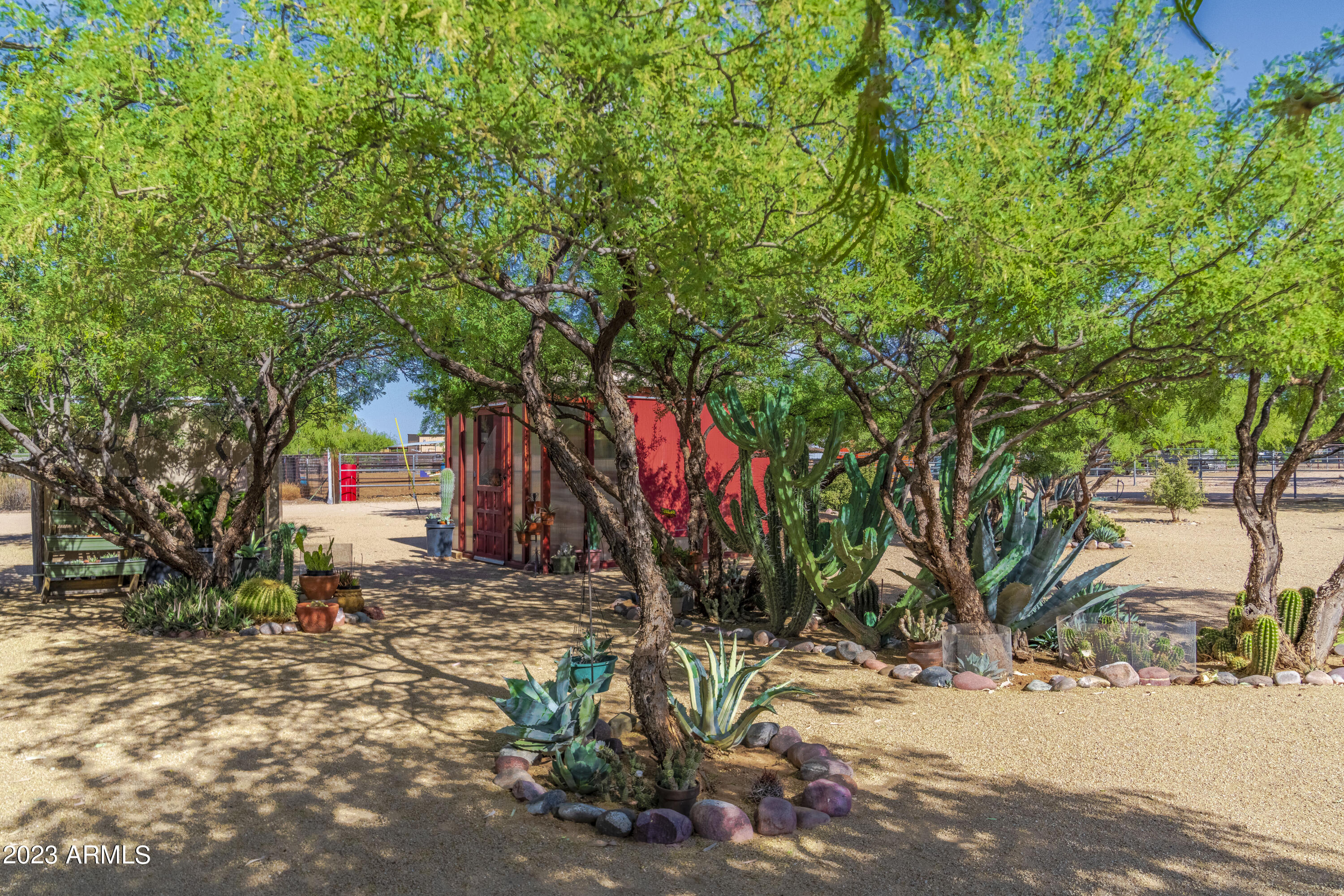 141 East Cloud Road Phoenix, AZ 85086 - Photo 84 of 99 Desert Garden Beauty