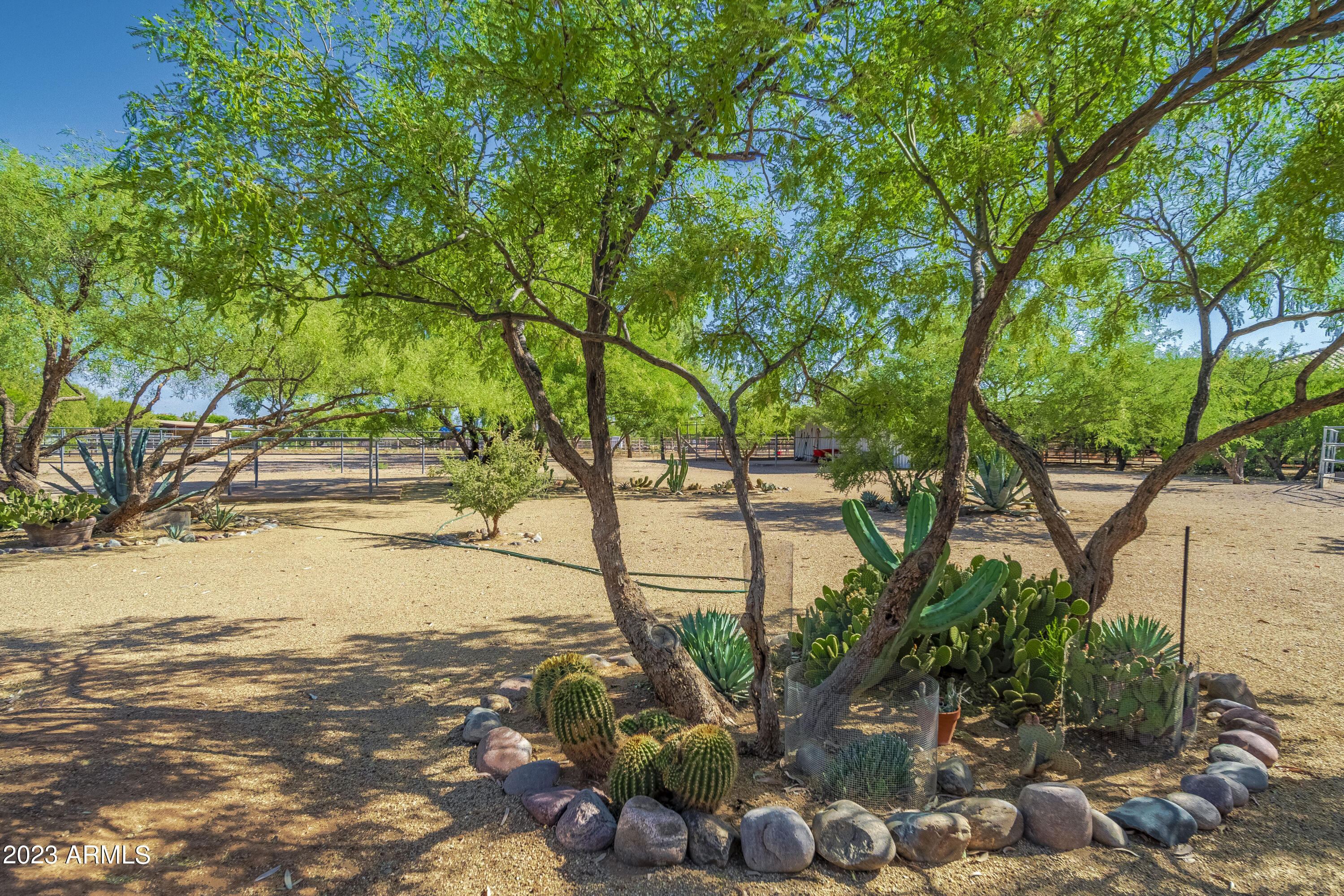 141 East Cloud Road Phoenix, AZ 85086 - Photo 88 of 99 Lovely Desert Landscape