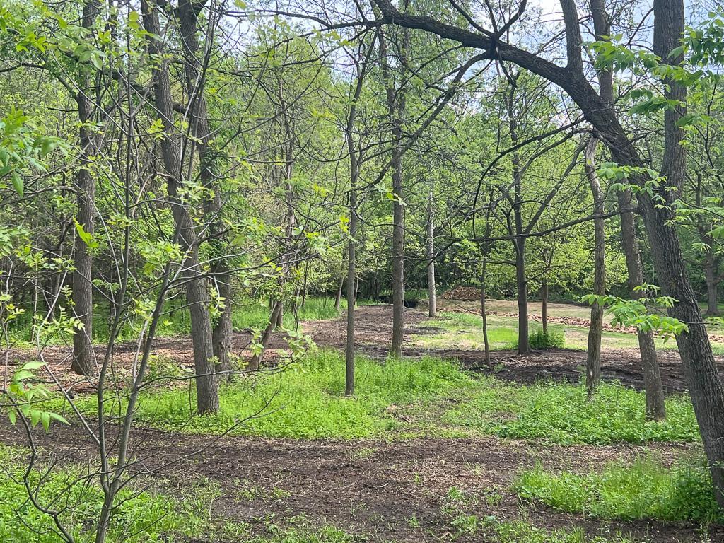 2195 Watertown Road Orono, MN 55356 - Photo 11 of 20