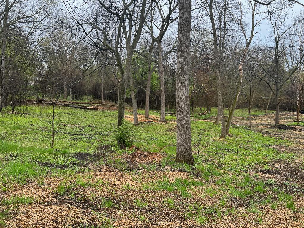 2195 Watertown Road Orono, MN 55356 - Photo 4 of 20