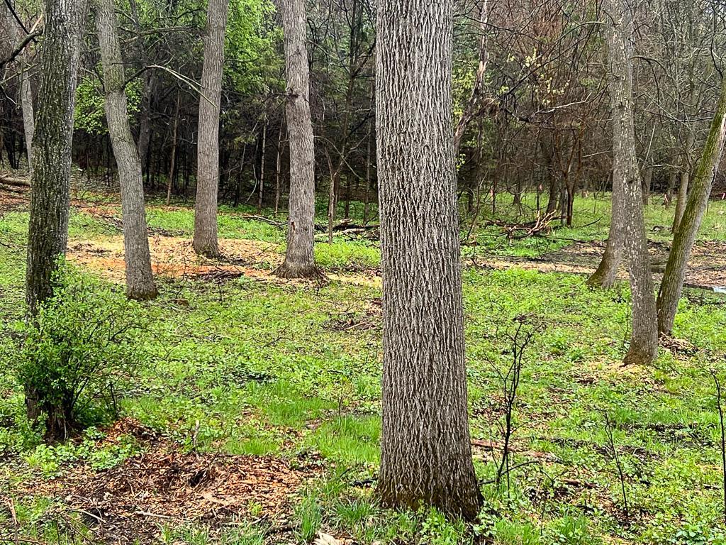 2195 Watertown Road Orono, MN 55356 - Photo 6 of 20