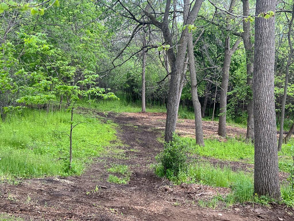 2195 Watertown Road Orono, MN 55356 - Photo 7 of 20