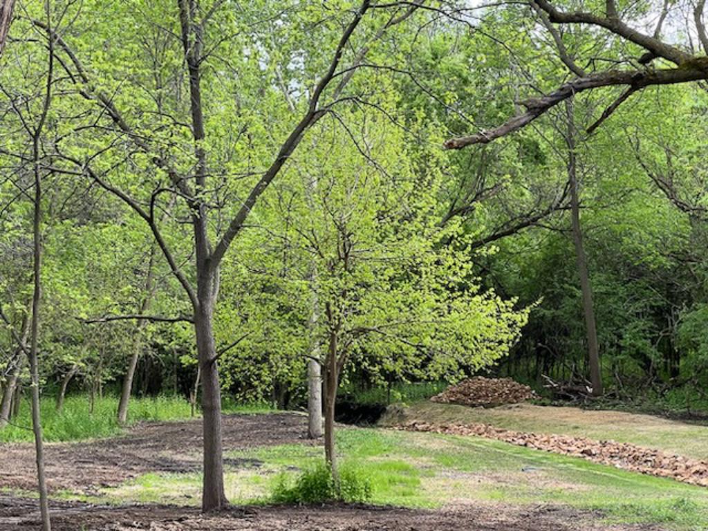 2195 Watertown Road Orono, MN 55356 - Photo 8 of 20