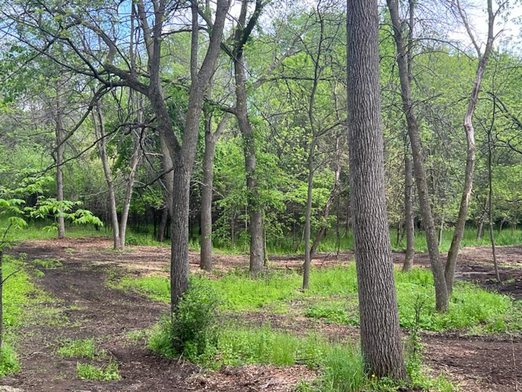 2195 Watertown Road Orono, MN 55356 - Photo 10 of 20