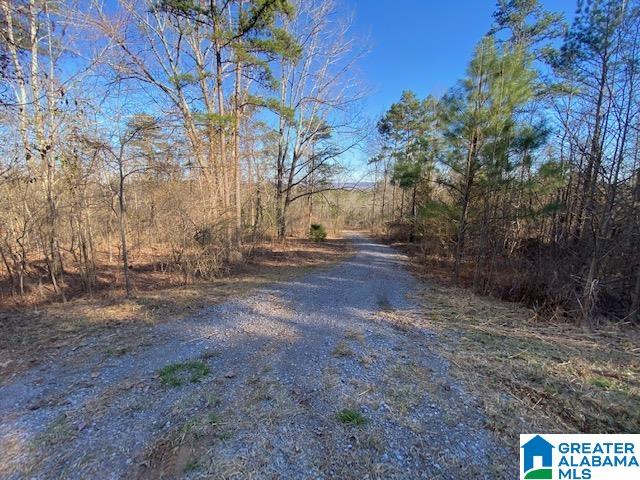 619 Ridge View Drive, Unit 5 ACRES Trussville, AL 35173 - Photo 3 of 20