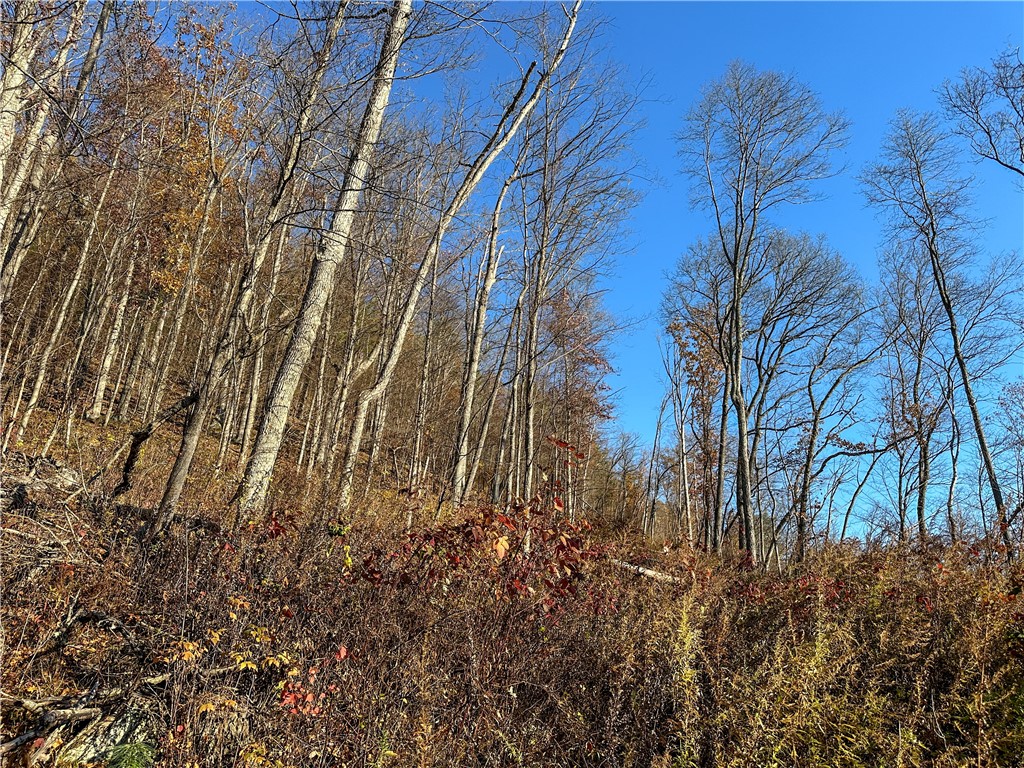 Vl Lot 3 Vl Road Cameron, NY 14819 - Photo 24 of 35