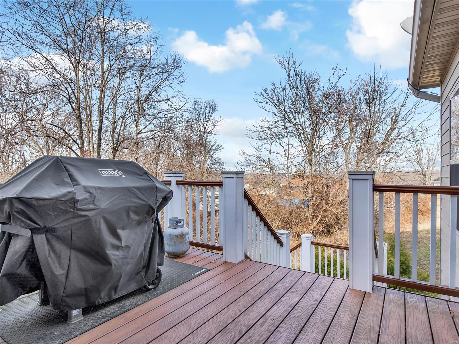 905 Blackberry Patch Trail Fenton, MO 63026 - Photo 34 of 37