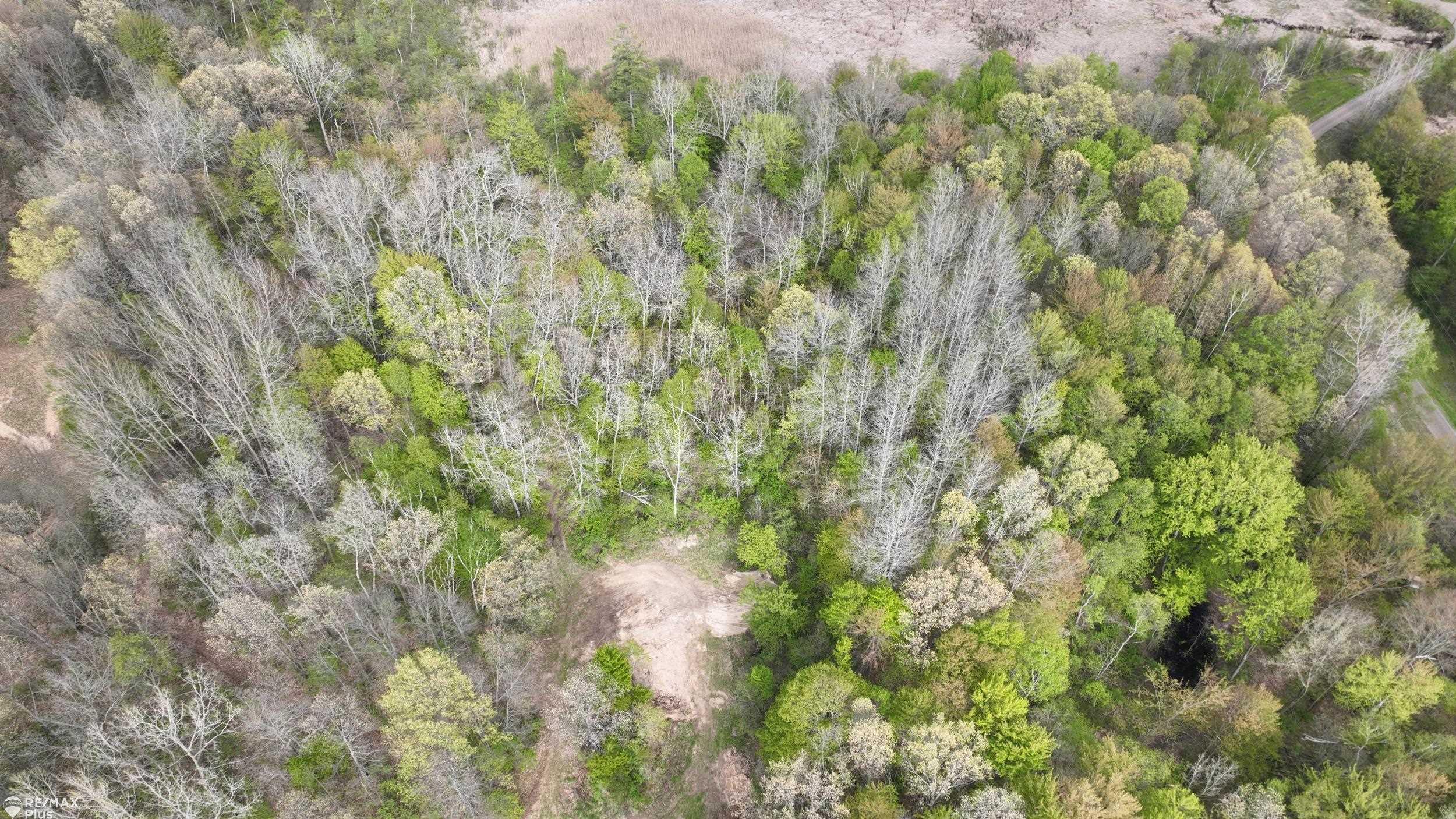 0 Miller Lake Road Columbiaville, MI 48421 - Photo 25 of 33