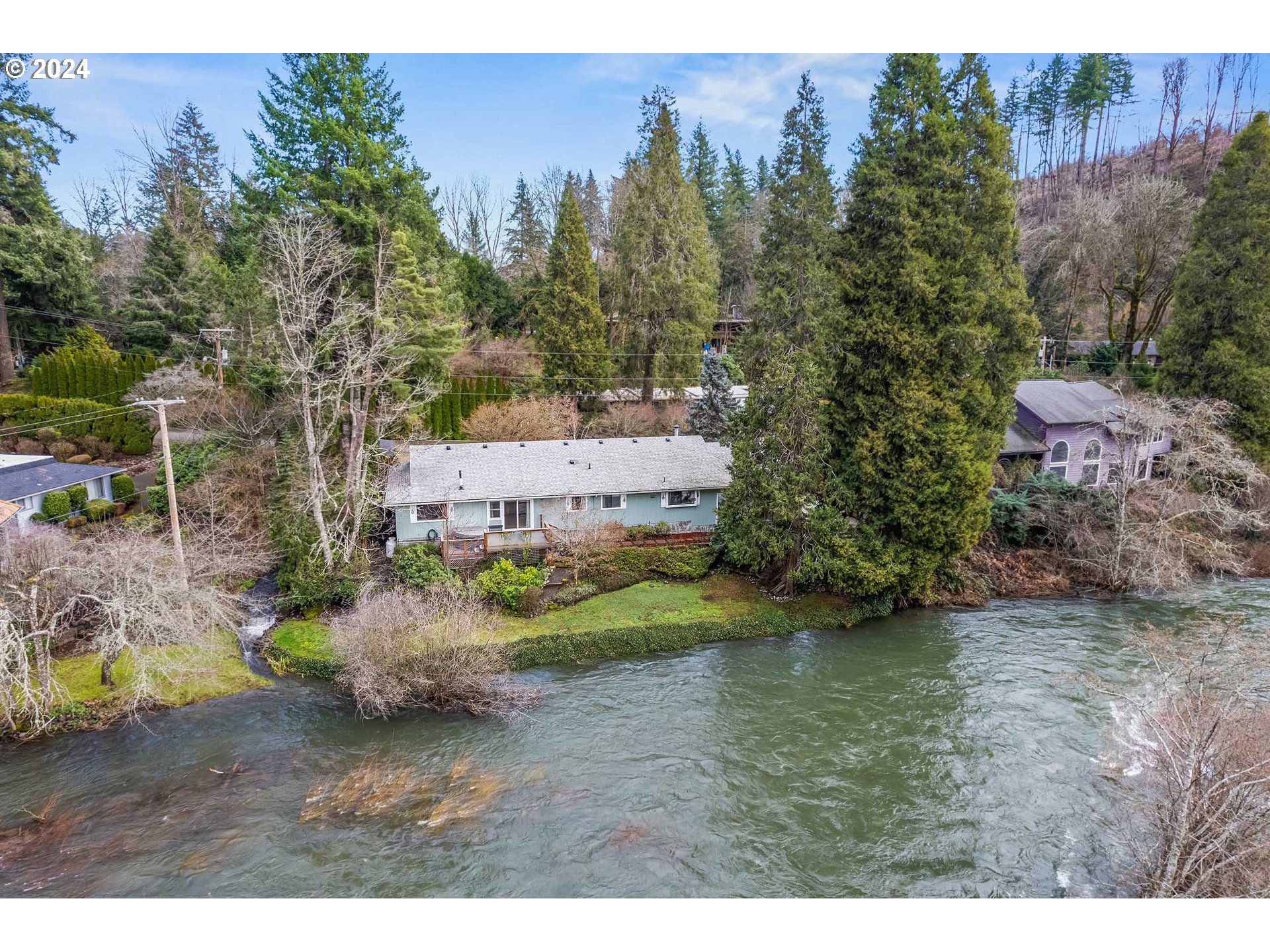 91070 Leashore Drive Vida, OR 97488 - Photo 1 of 43 a view of a yard with a tree