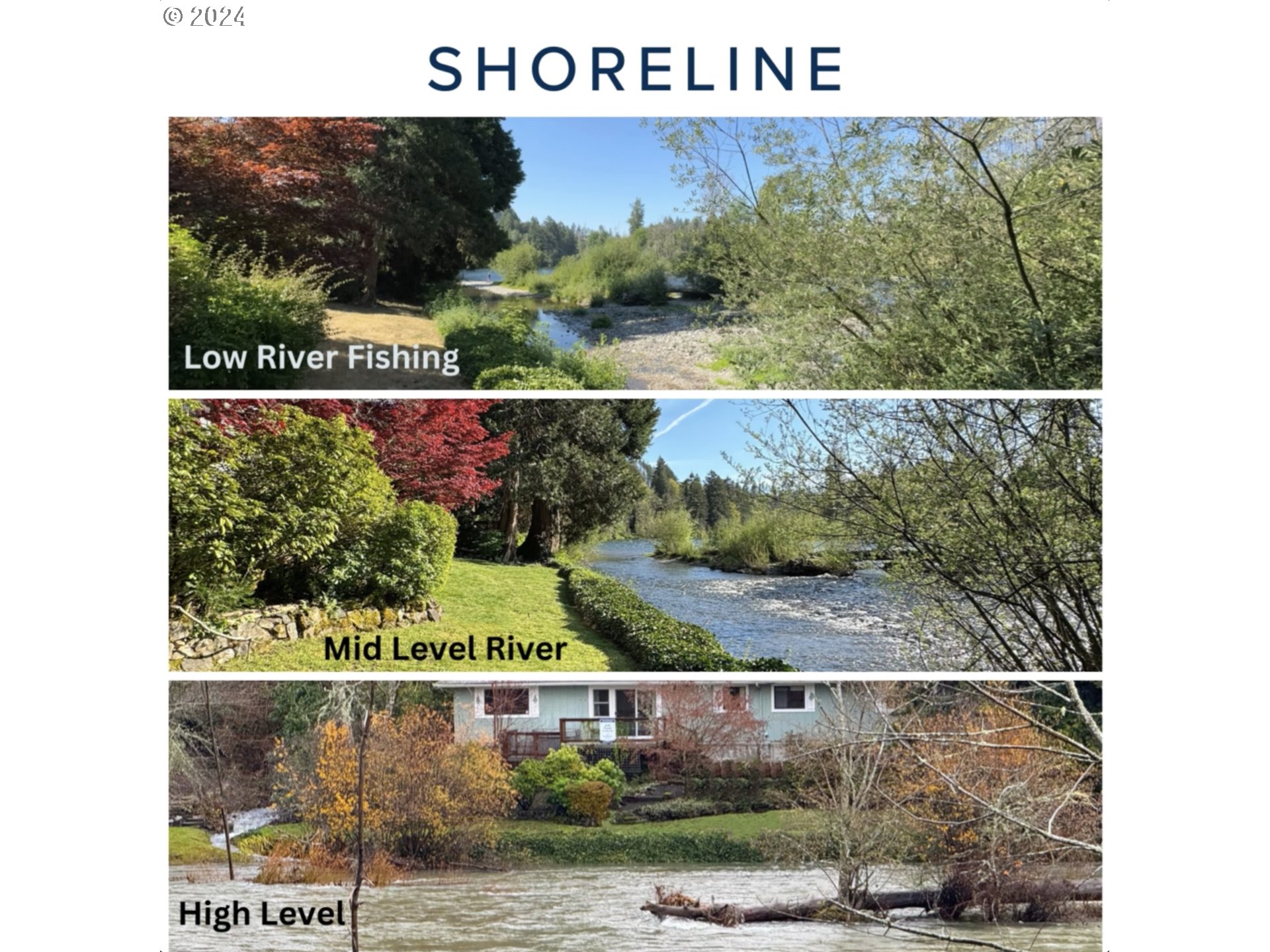 91070 Leashore Drive Vida, OR 97488 - Photo 21 of 43 a view of a back yard