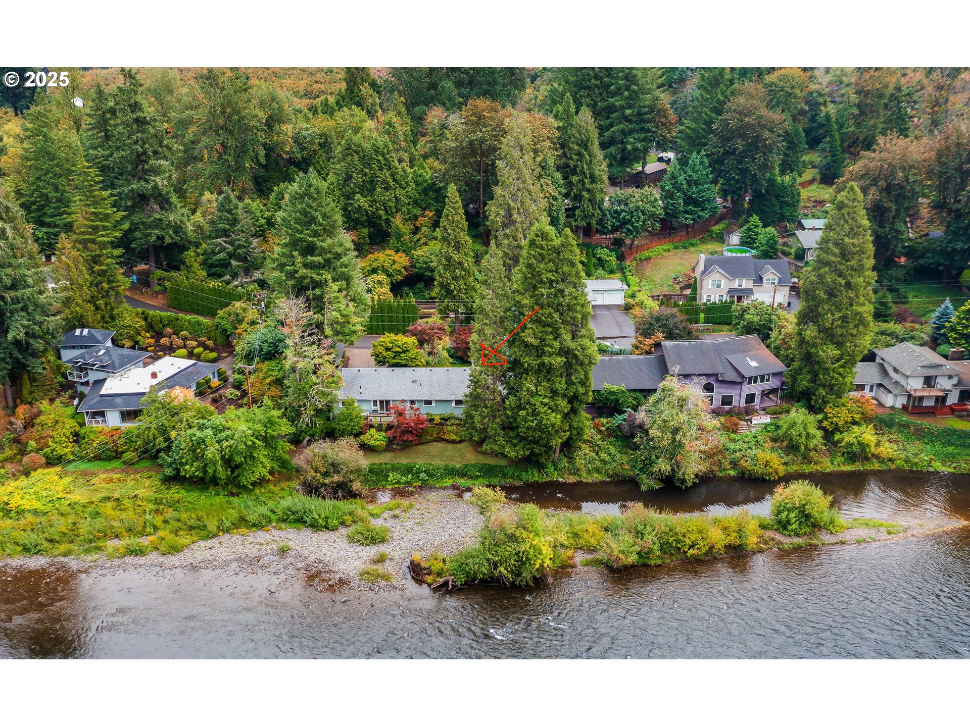 91070 Leashore Drive Vida, OR 97488 - Photo 3 of 43 a view of a garden with a building in the background