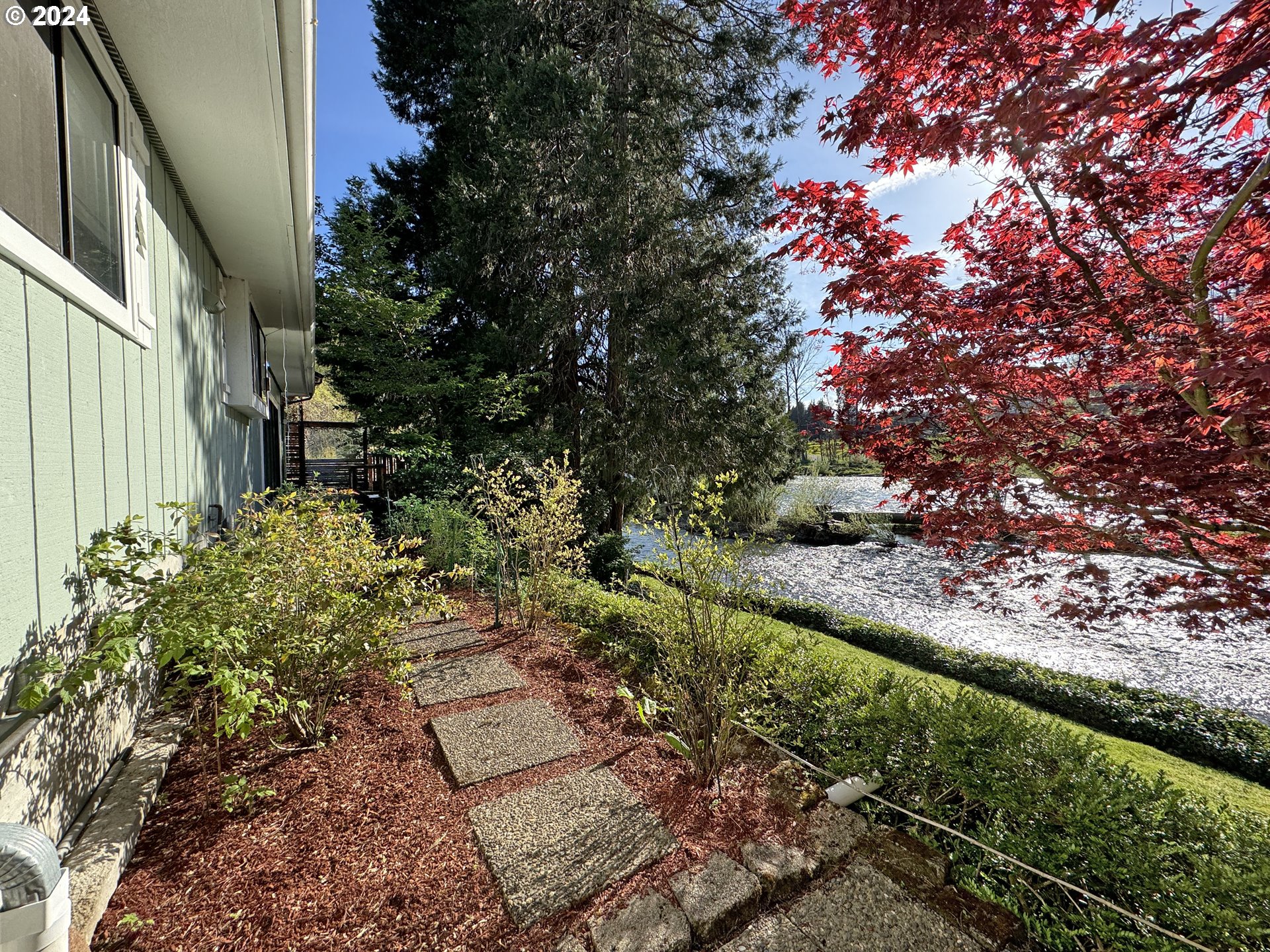 91070 Leashore Drive Vida, OR 97488 - Photo 34 of 43 a view of a yard with plants